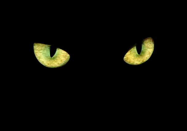 BlackCat808's avatar