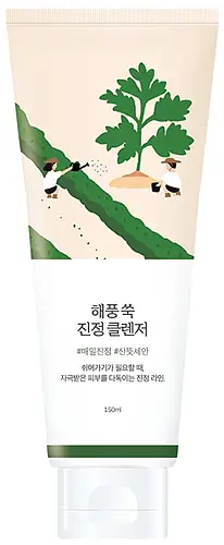 Round Lab Mugwort Calming Cleanser