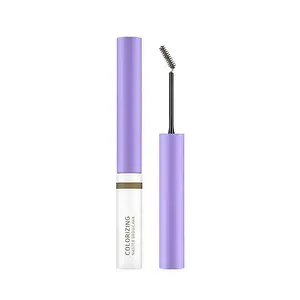 Black Rouge Colorizing Master Browcara BC02 Ashology