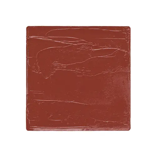 Salt New York Lip + Cheek Cocoa