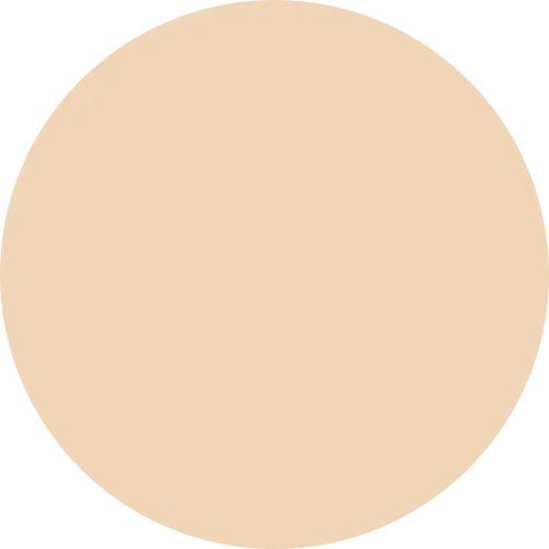 Barenbliss Bloomdew Moonlight Dewy Cushion FN1 Aster