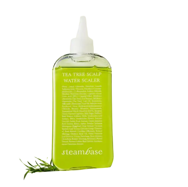 Steambase Tea Tree Scalp Water Scaler