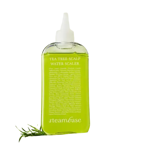Steambase Tea Tree Scalp Water Scaler