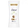 Shea Butter