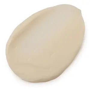 LUSH Enzymion Moisturizer
