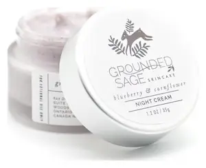 Grounded Sage Blueberry and Cornflower Hydra Well Night Cream