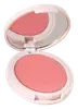 Summer Sorbet