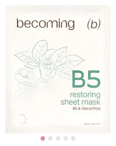 Becoming B5 Sheet Mask Restoring