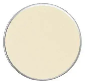 Face Atelier Iconic Eyeshadow Parchment
