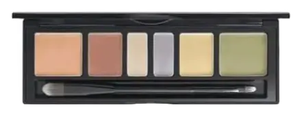 Jung Saem Mool Artist Concealer Palette Blend