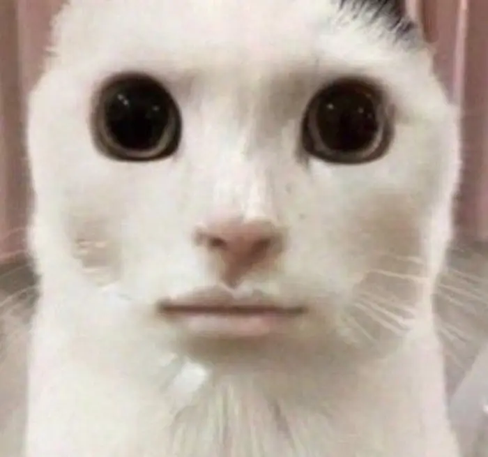 channelorange's avatar