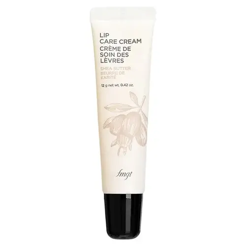 The Face Shop fmgt Lip Care Cream Shea Butter