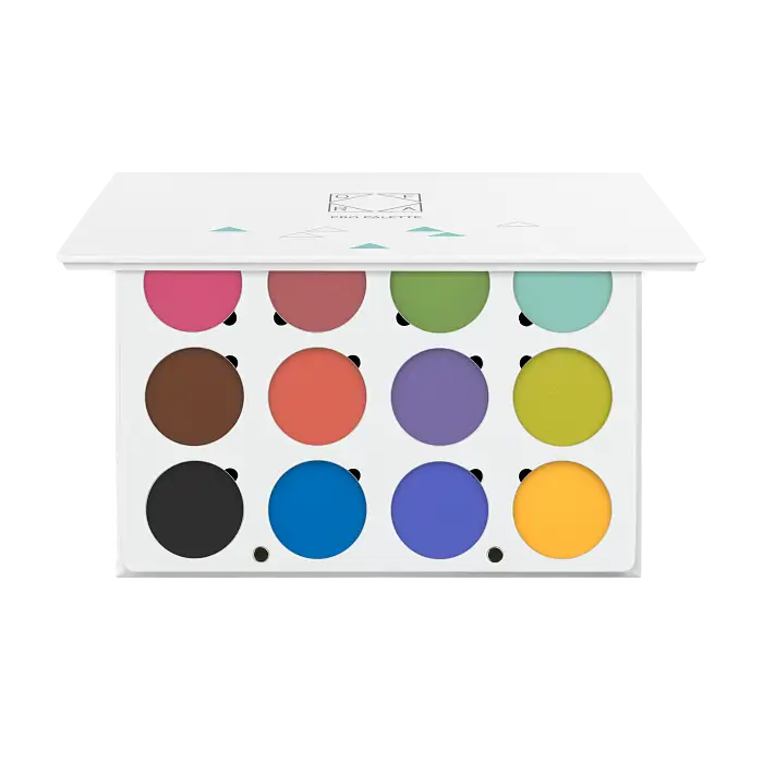 OFRA Pro Palette Bright Addiction