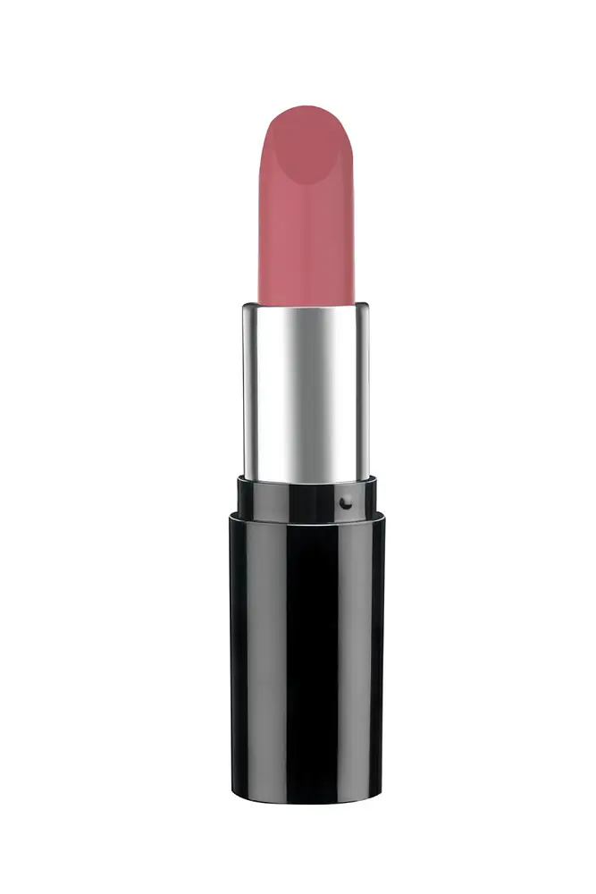 Pastel Nude Lipstick 542