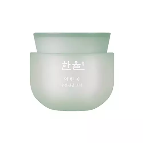 Hanyul Pure Artemisia Calming Water Cream