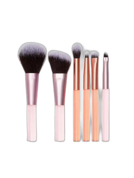 Primark PS... Travel Makeup Brush Set (Ingredients Explained)