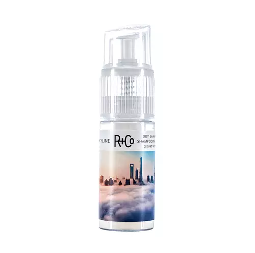 R & Co Skyline Dry Shampoo Powder