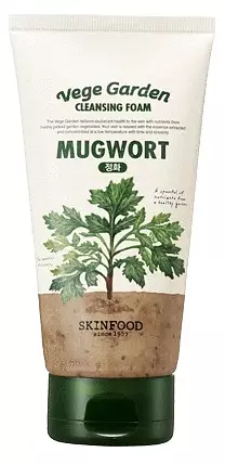 Skinfood Mugworth Cleansing Foam