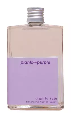 Plants are Purple Organic Rose
