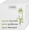 Ziaja Cucumber Face Cream Slovakia